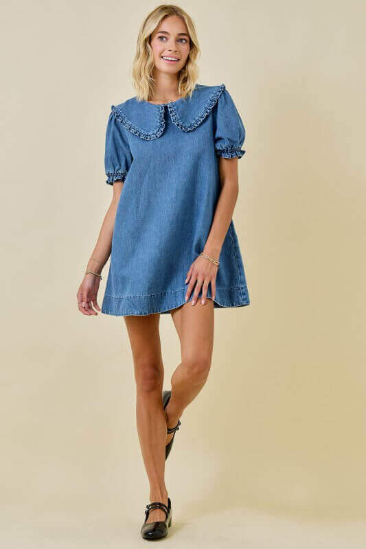 Ally Denim Dress