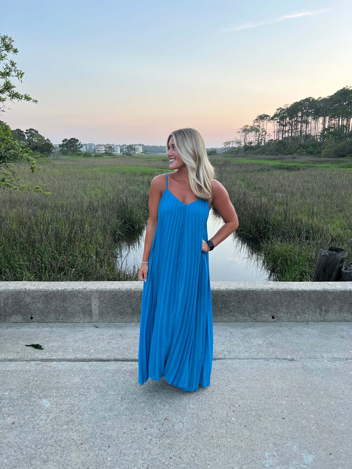 Alex Blue Pleated Maxi