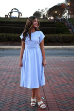 Rachel Blue Pinstripe Dress