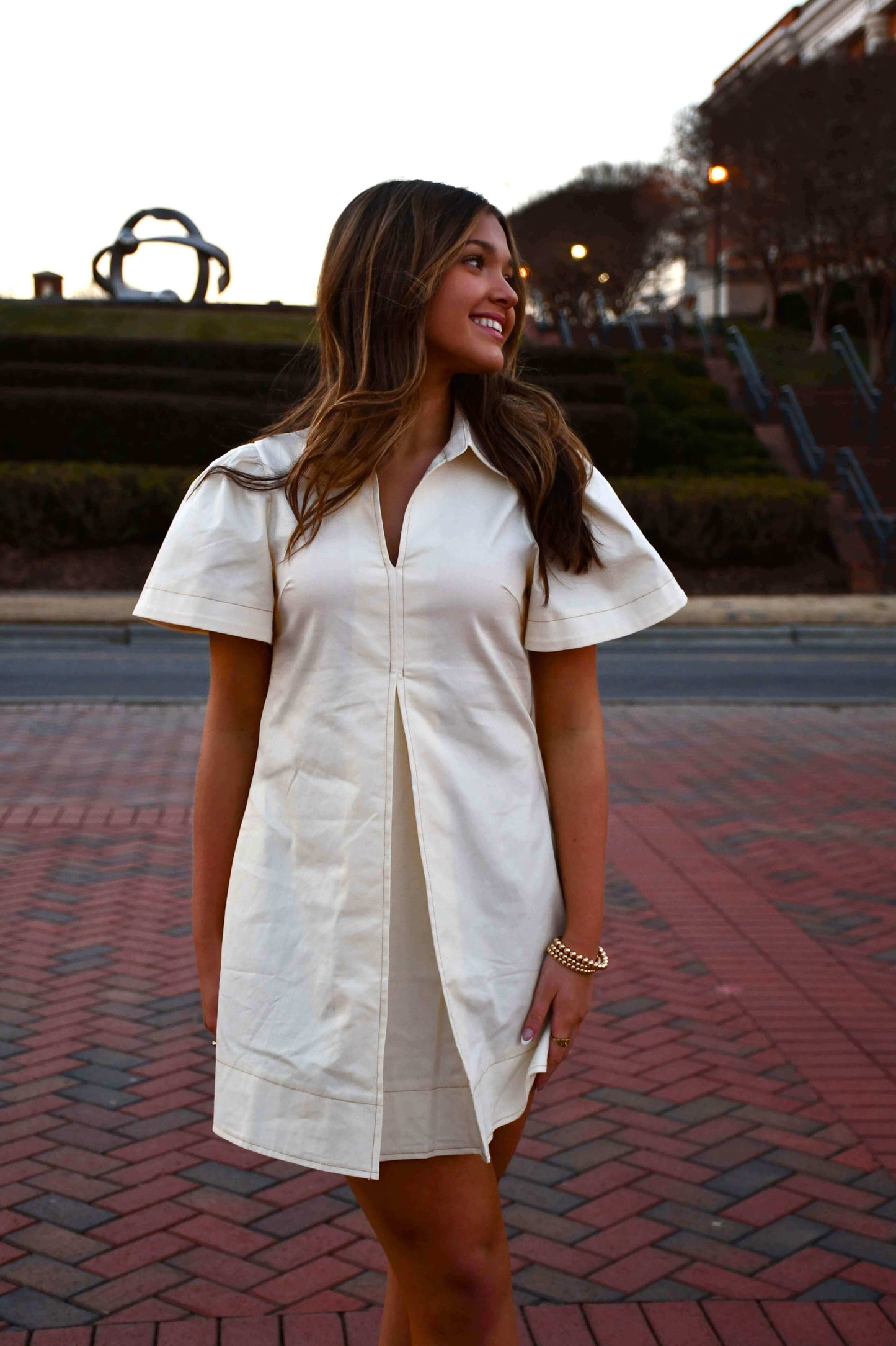 Kendal Mini Dress