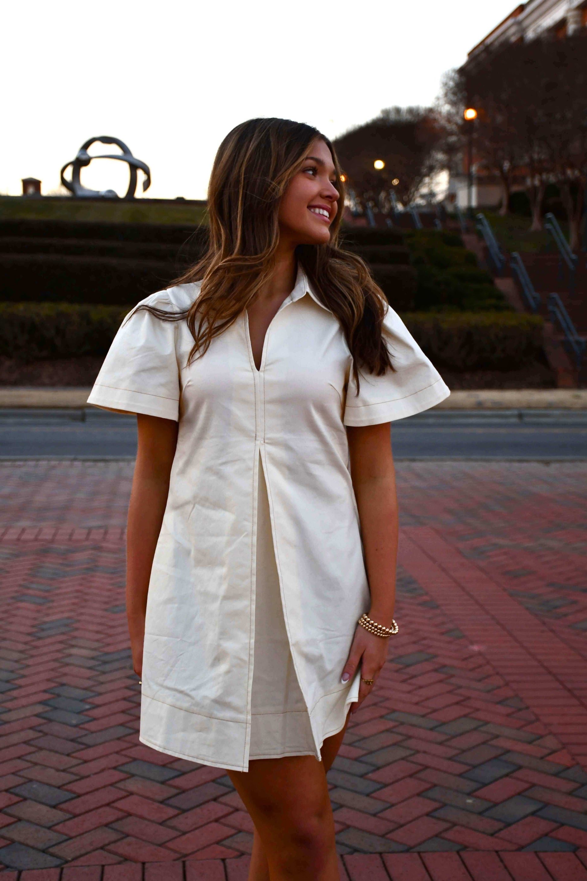 Kendal Mini Dress