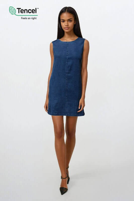 Audre Denim Dress