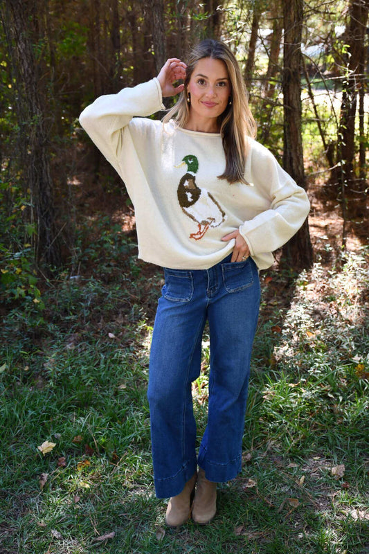 Graphic Duck Print Pullover