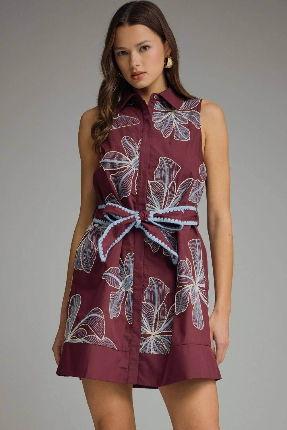 Elizabeth Embroidered Dress