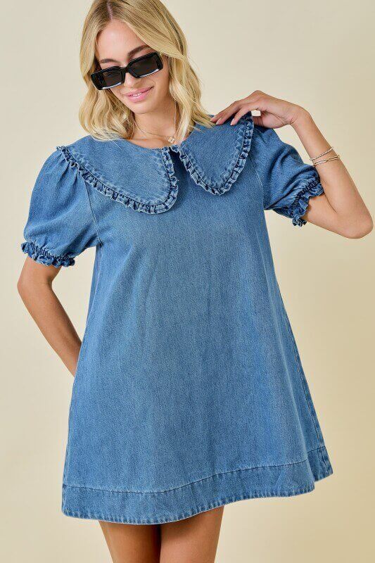 Ally Denim Dress