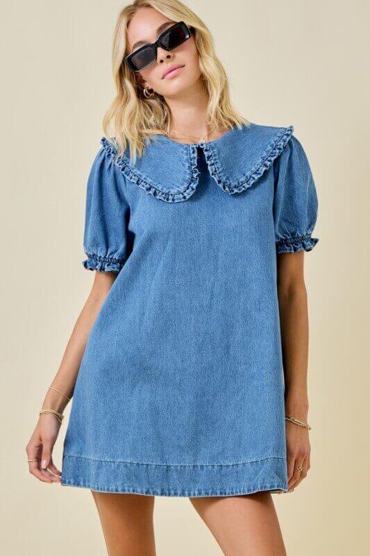 Ally Denim Dress