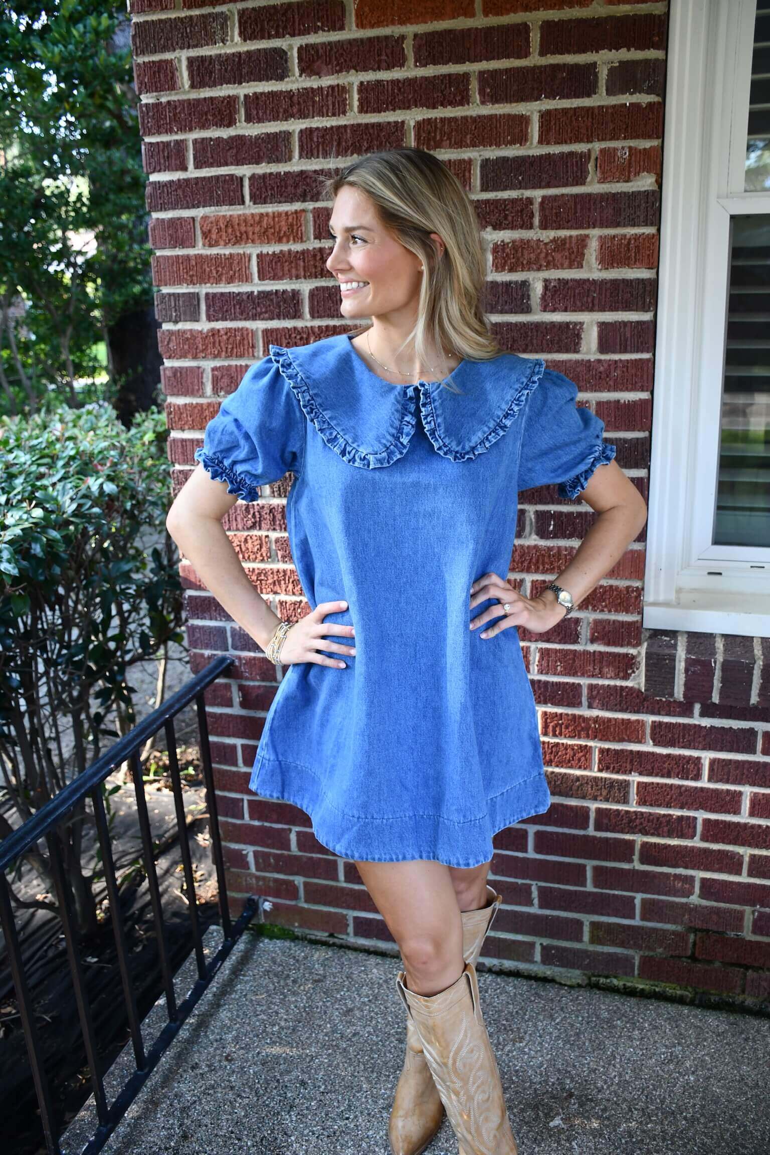 Ally Denim Dress