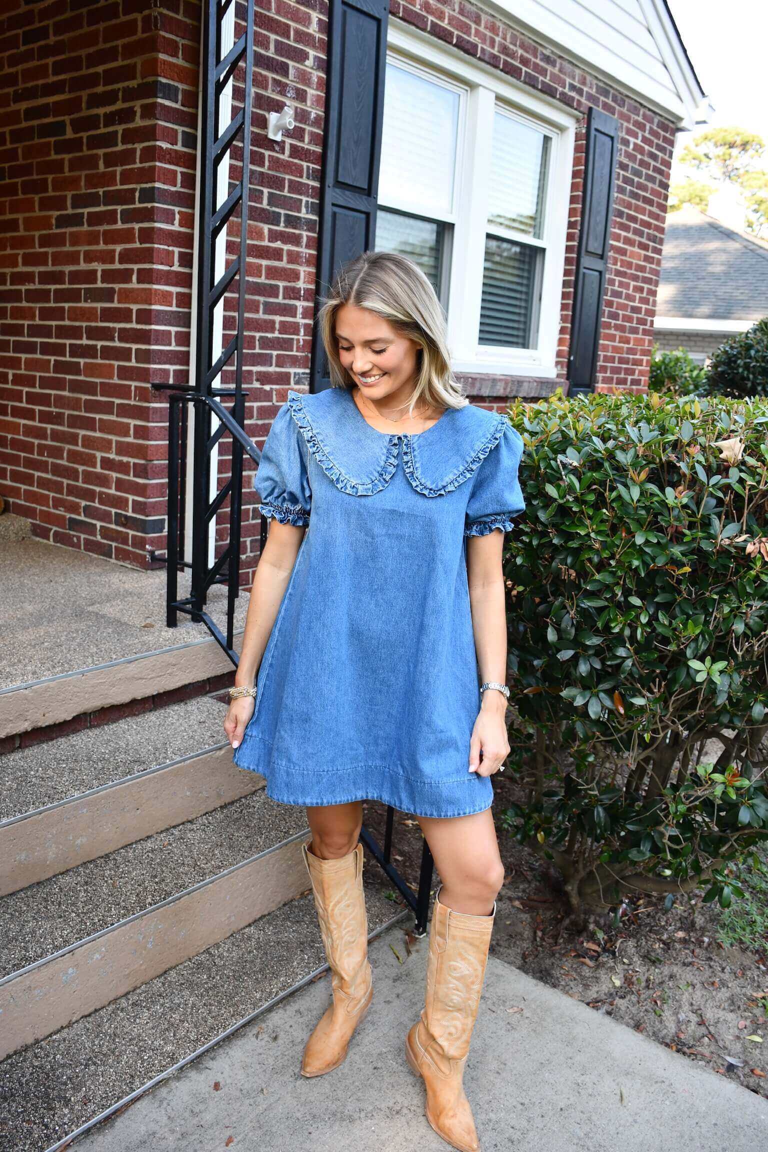 Ally Denim Dress